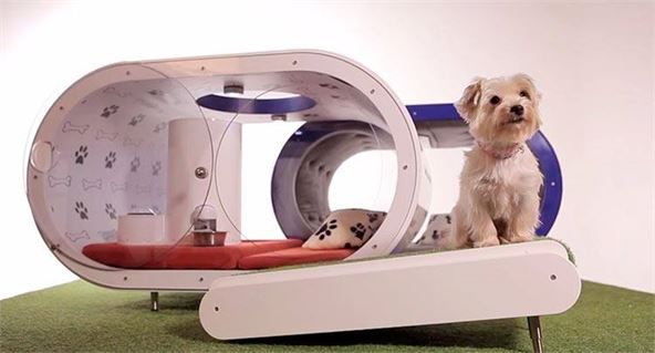 samsung-dream-doghouse-01