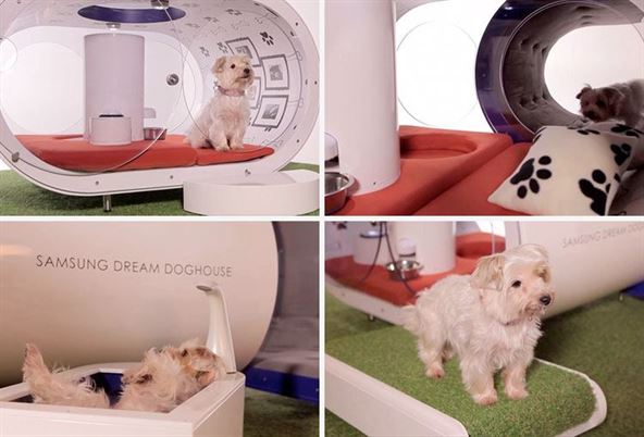 samsung-dream-doghouse-02