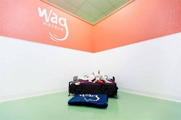 wag-hotels-01