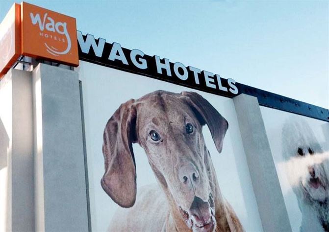 wag-hotels-gall01