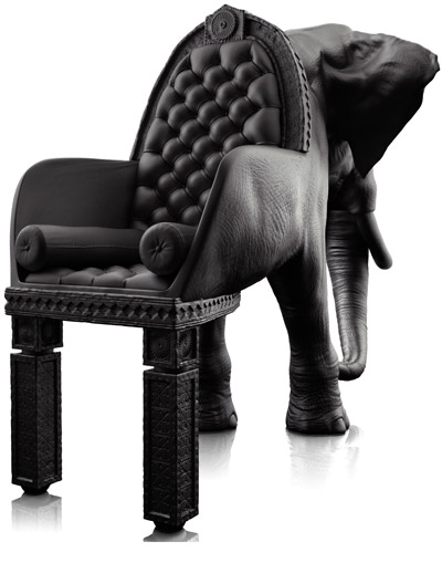copy_0_elephant400