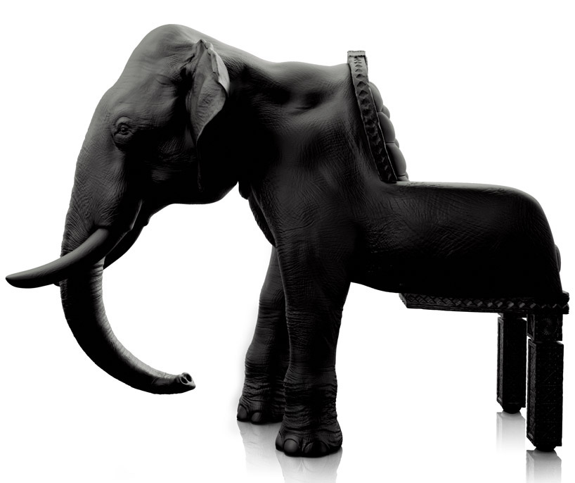 elephant01