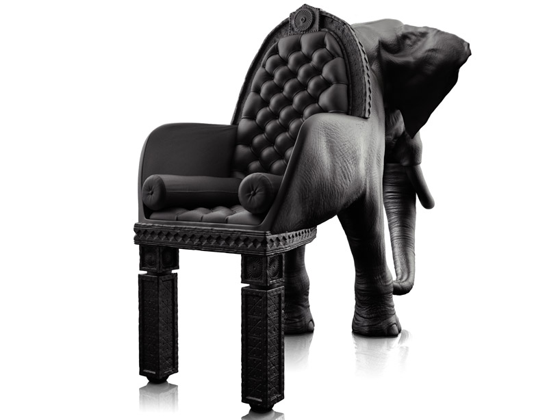 elephant02
