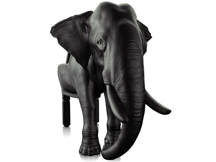 elephant03