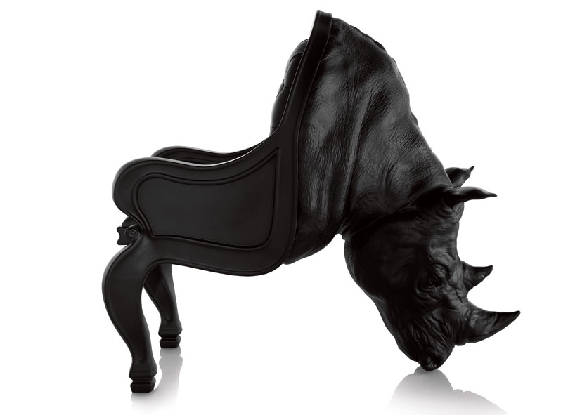 rhino01