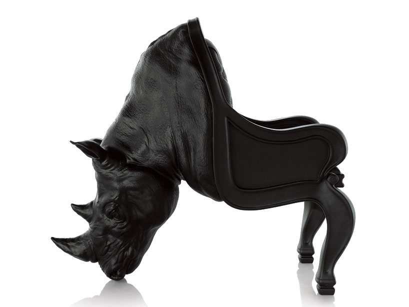 rhino03