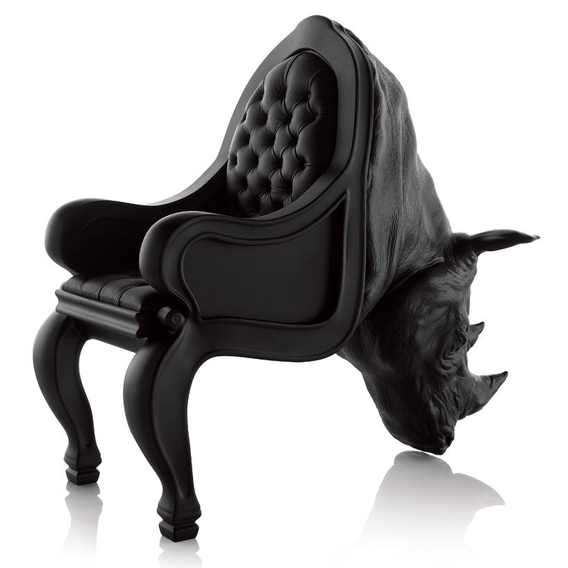 rhino04