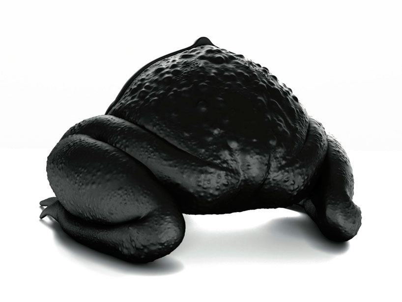 toad02
