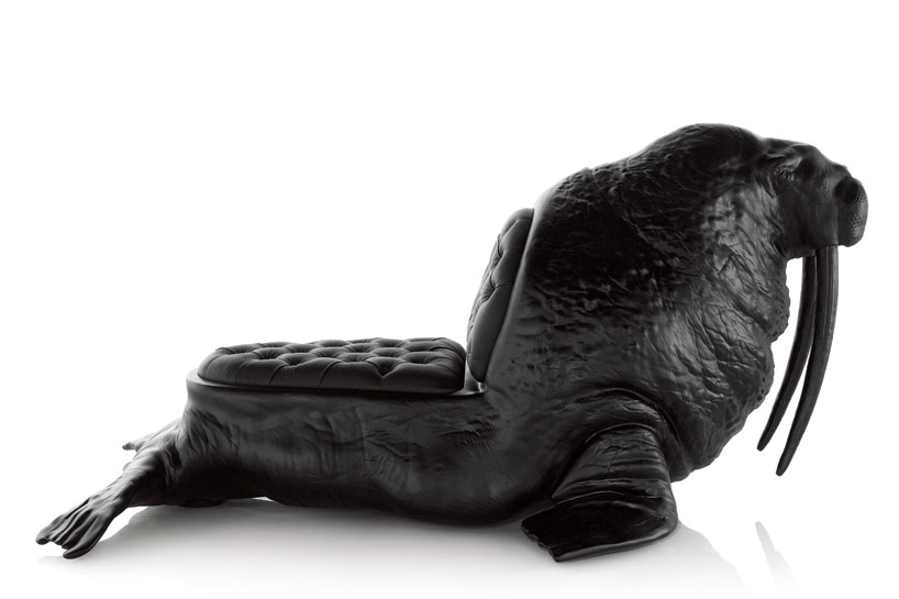 walrus01