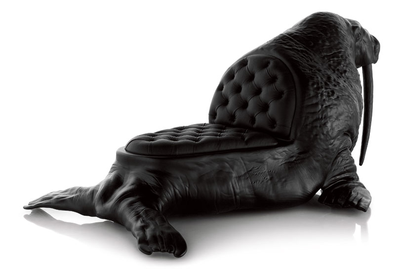 walrus02