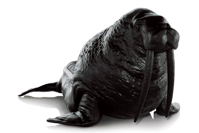 walrus03