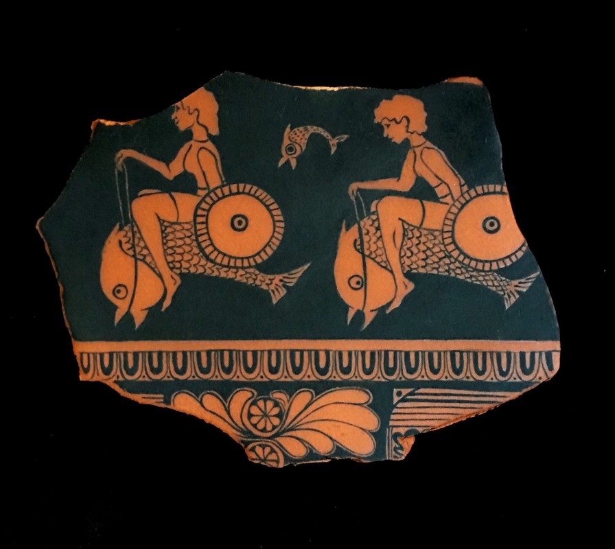 aquatic-warriors-web_orig