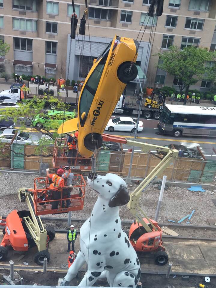 32668021_10213854521570456_1270812528611426304_n