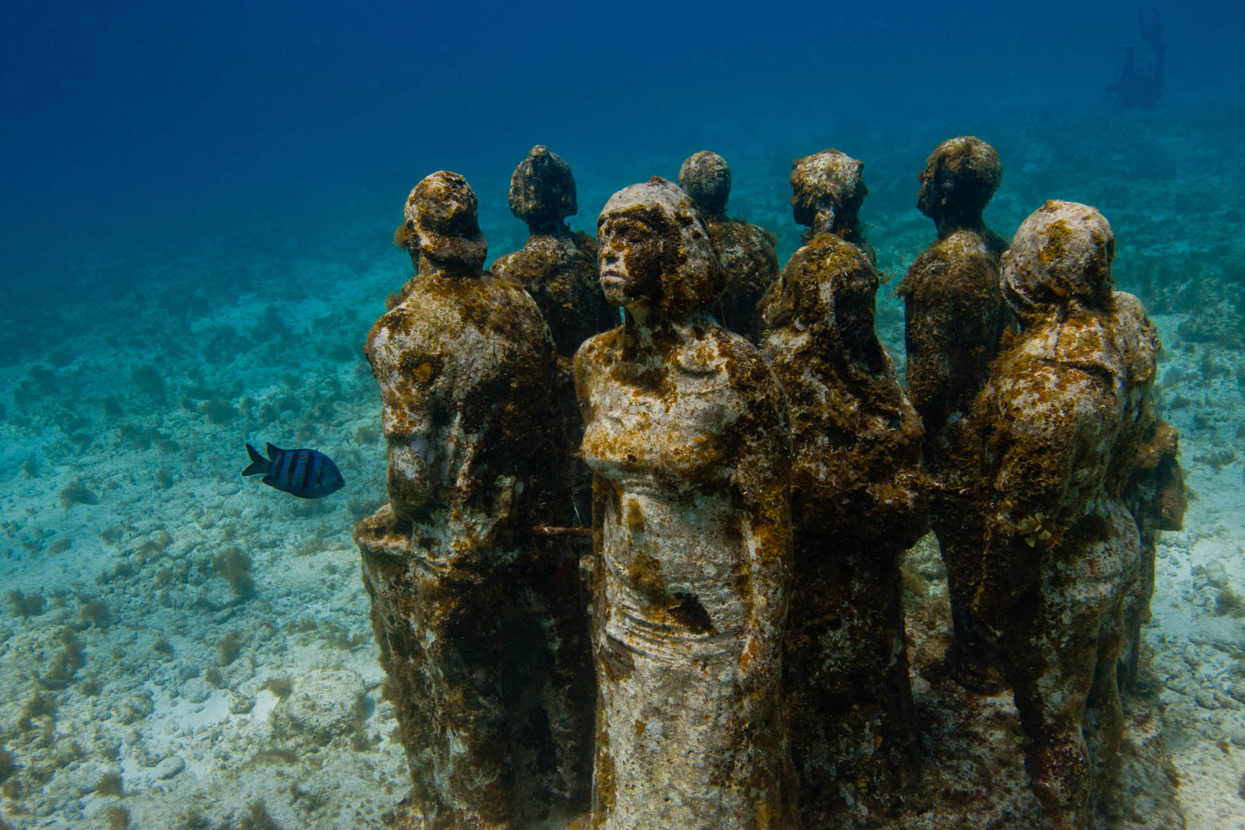 Silent-Evolution-II-sculptures-musa-Jason-DeCaires-Taylor