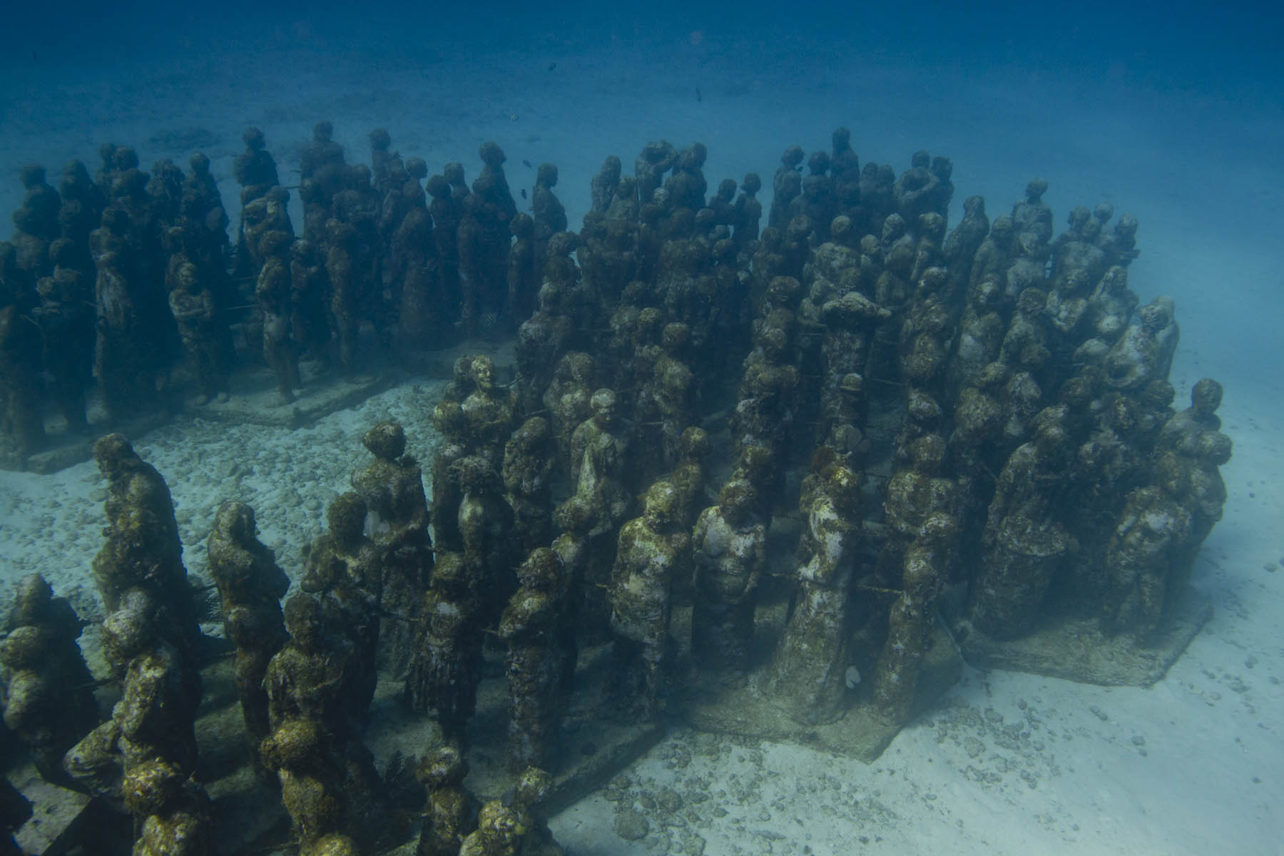 Silent-Evolution-sculptures-musa-Jason-DeCaires-Taylor