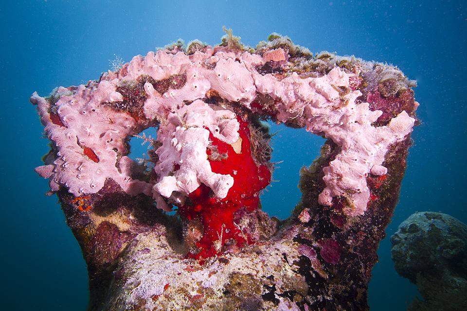 Silent-Evolution_Mexico_coral_pink_03_Jason-deCaires-Taylor_Sculpture