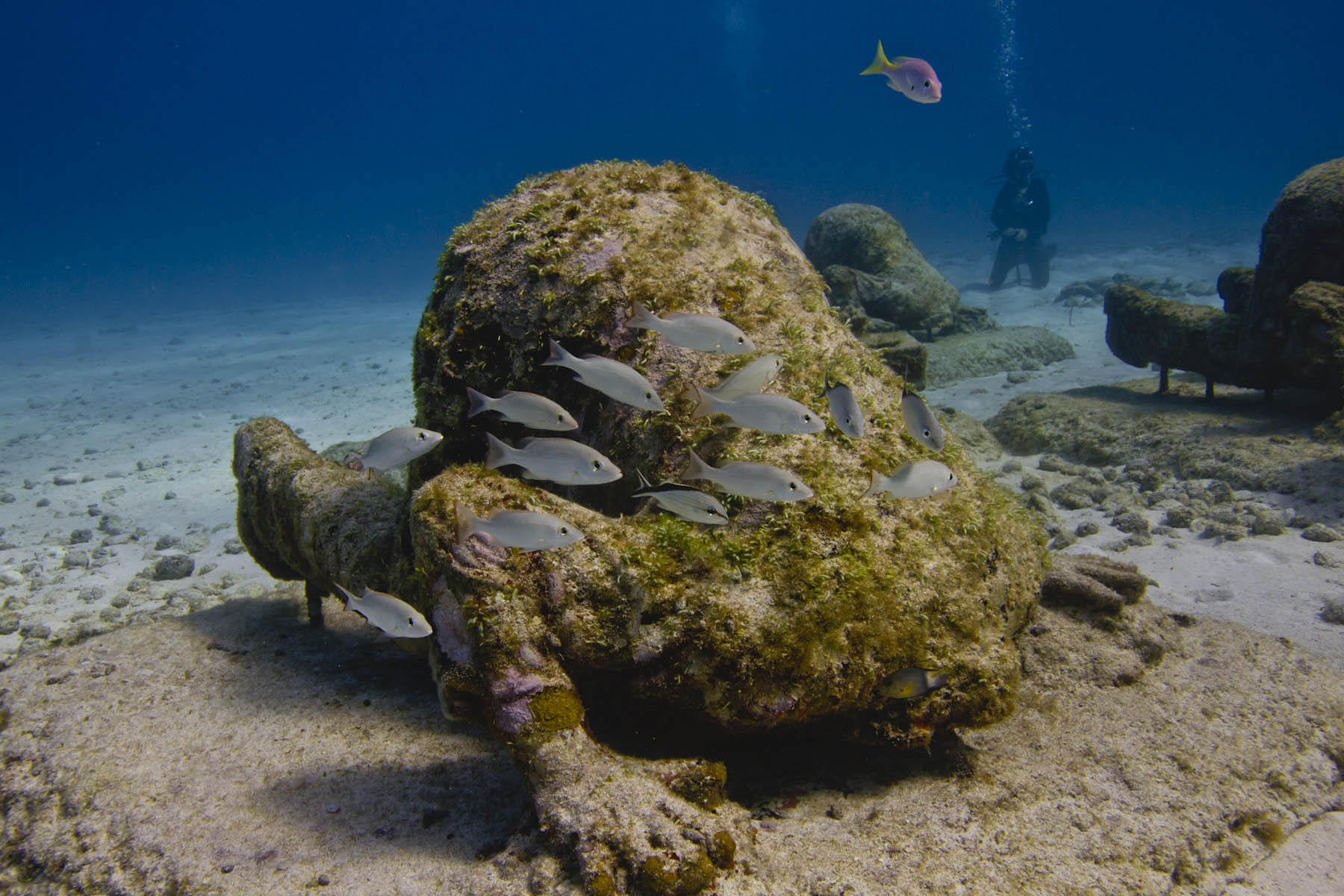 The-banker-Jason-DeCaires-Taylor-underwater-sculpture