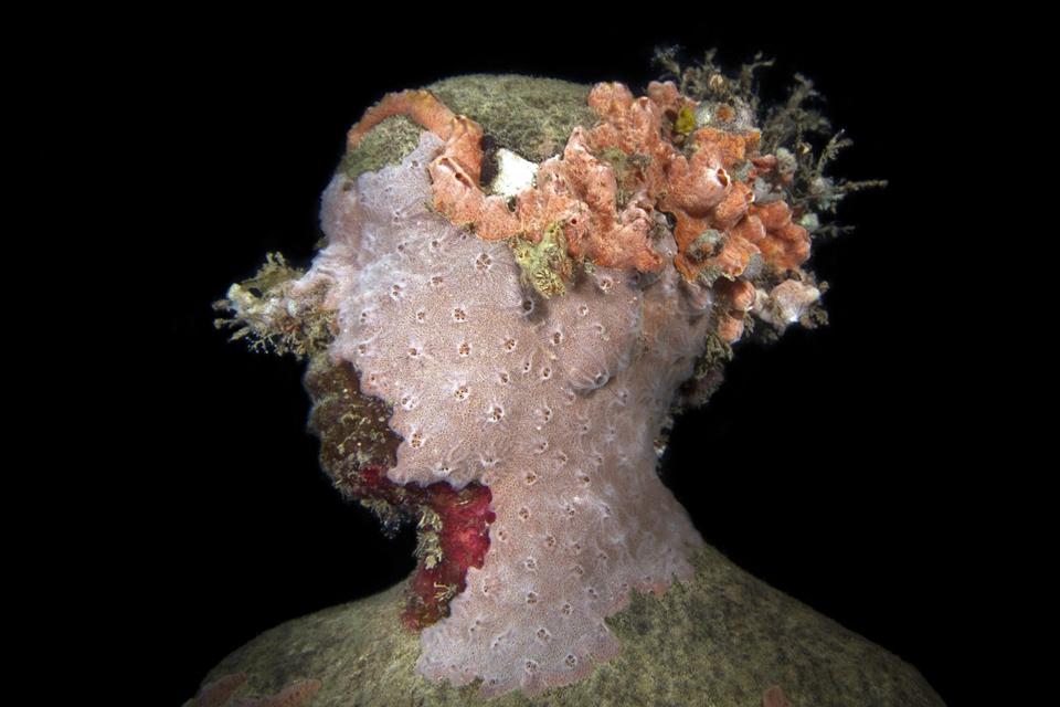 Vicissitudes_Grenada_coral_night_IMG_0570_Jason-deCaires-Taylor_Sculpture