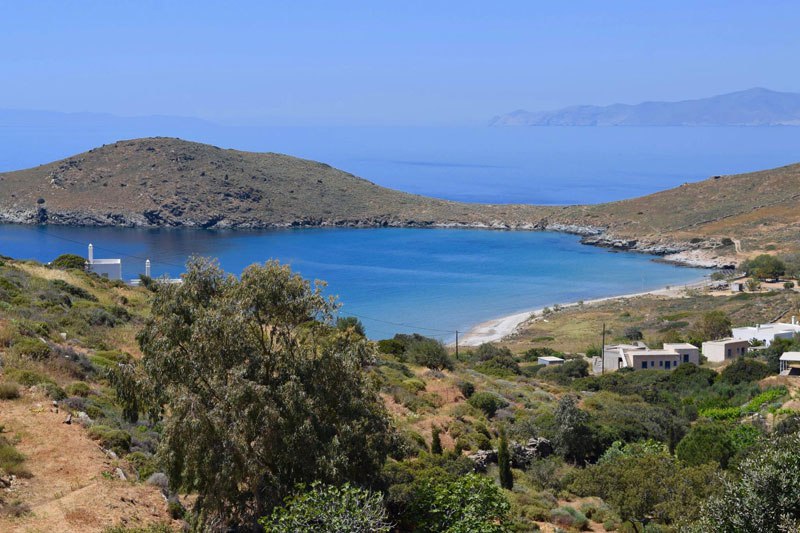 job-post-goes-viral-as-cat-sanctuary-on-greek-island-seeks-caretaker-3