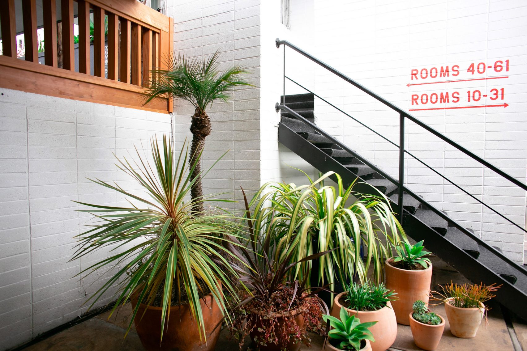 phoenix-hotel-liz-lambert-interiors-renovation-san-francisco-california-usa_dezeen_2364_col_22-1704x1136