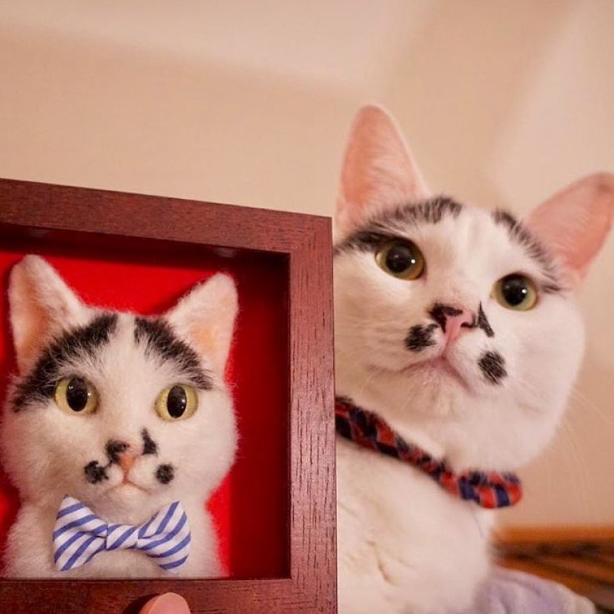 Artist-makes-hyper-realistic-cats-using-felted-wool-and-the-result-is-wonderful-5b51cb5ed02f6__880
