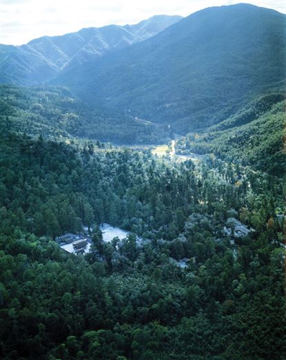 NAIKU-SITE-AND-FOREST-a-flat