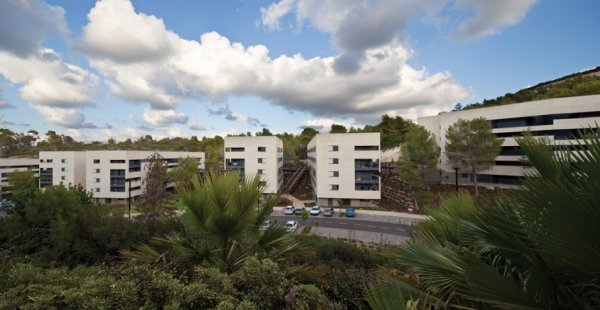 הומאז' לשיכון: על כפר המשתלמים בטכניון