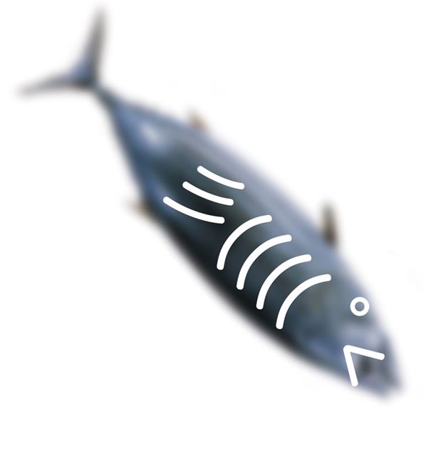 דבר אלי בציורים