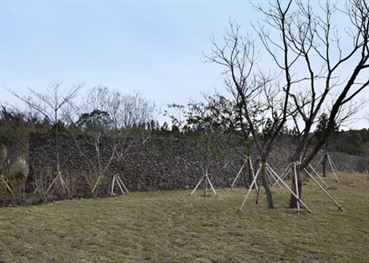 Osulloc-in-Jeju-South-Korea-by-Mass-Studies_dezeen_34