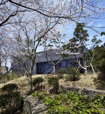 Osulloc-in-Jeju-South-Korea-by-Mass-Studies_dezeen_4