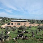 בית זע'ארתה, לבנון