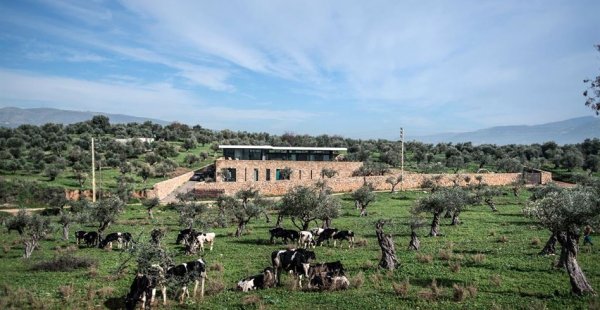 בית זע'ארתה, לבנון