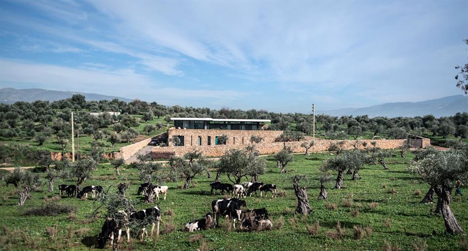 בית זע'ארתה, לבנון