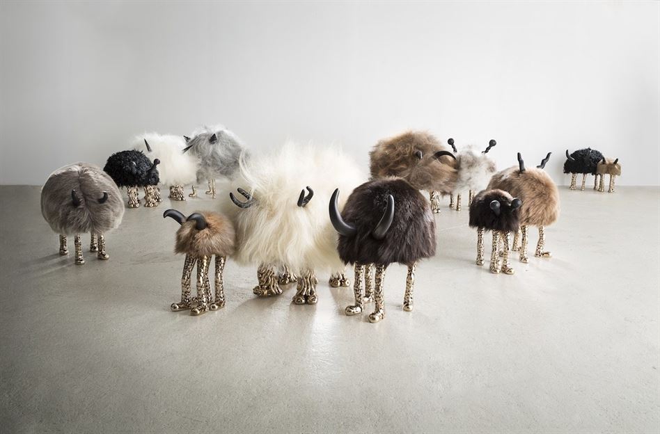 Haas_little_beasts_group_1_1