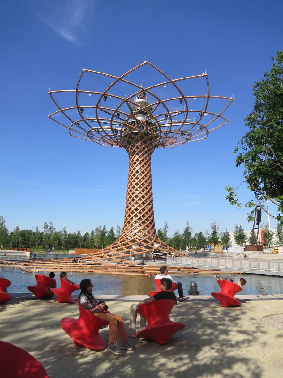 kkarc_tree_of_life_IMG_4694