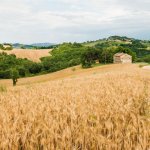 כך נראית וילת הנופש בטוסקנה, של משפחה ישראלית