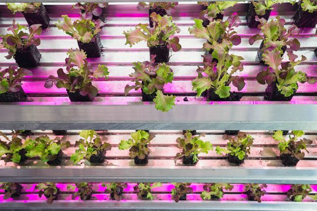 future-food-district-supermarket-expo-milan-2015-carlo-ratti-associati-designboom-07