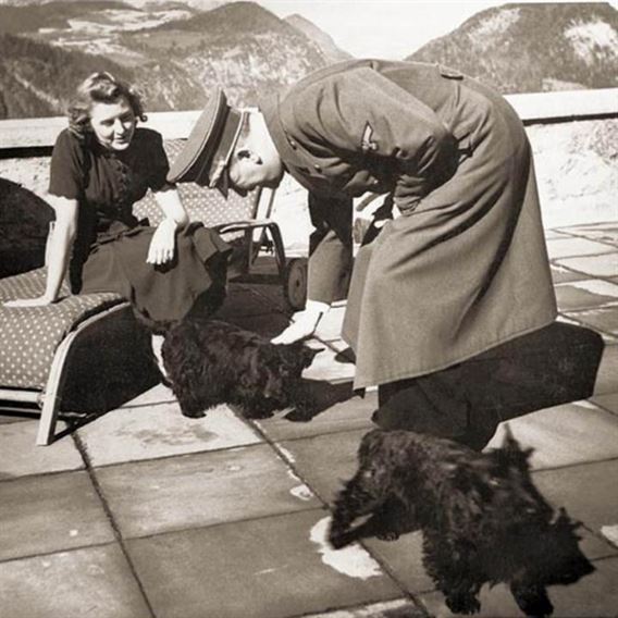 hitler-dogs-large