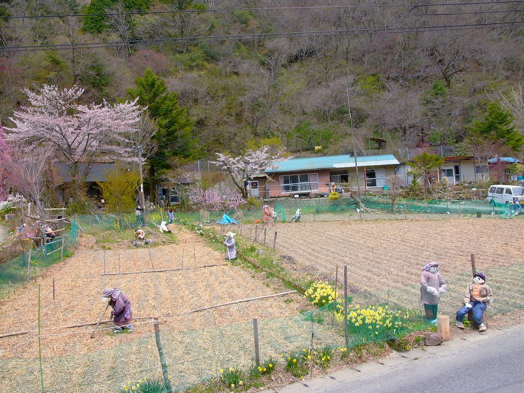 עמק הבובות הביזרי ביפן