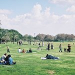 המעצב של נוף חיינו