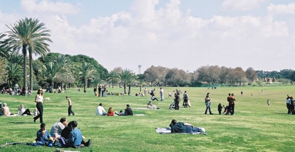 המעצב של נוף חיינו