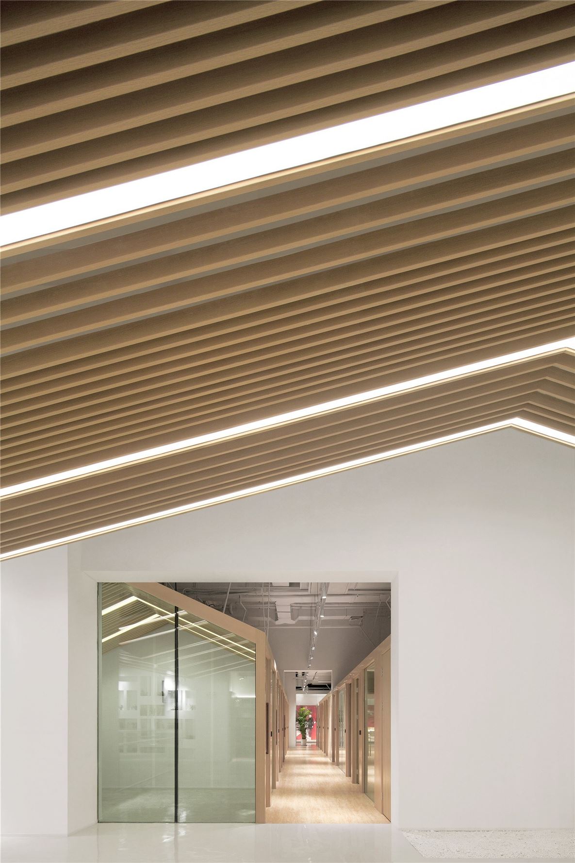 004私教区 Private Classroom