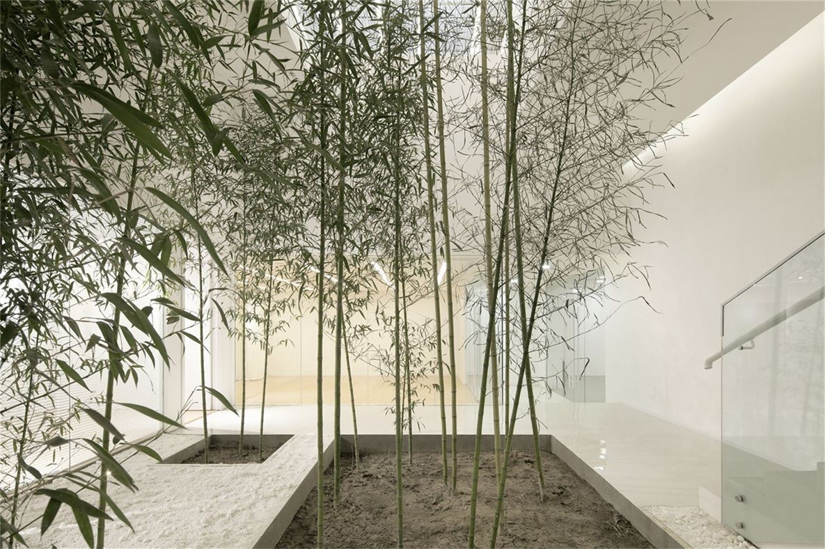 013竹林庭院 Bamboo Couryard