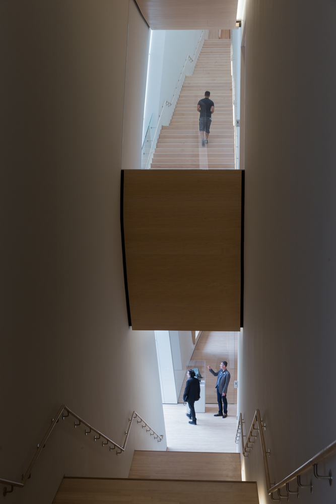 22._City_Gallery_stairs__photo_©_Iwan_Baan__courtesy_SFMOMA