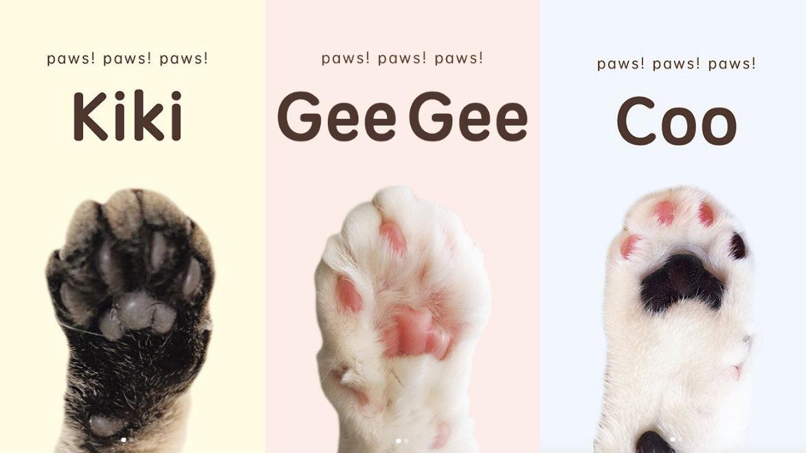 collage-cat-paws-quartz