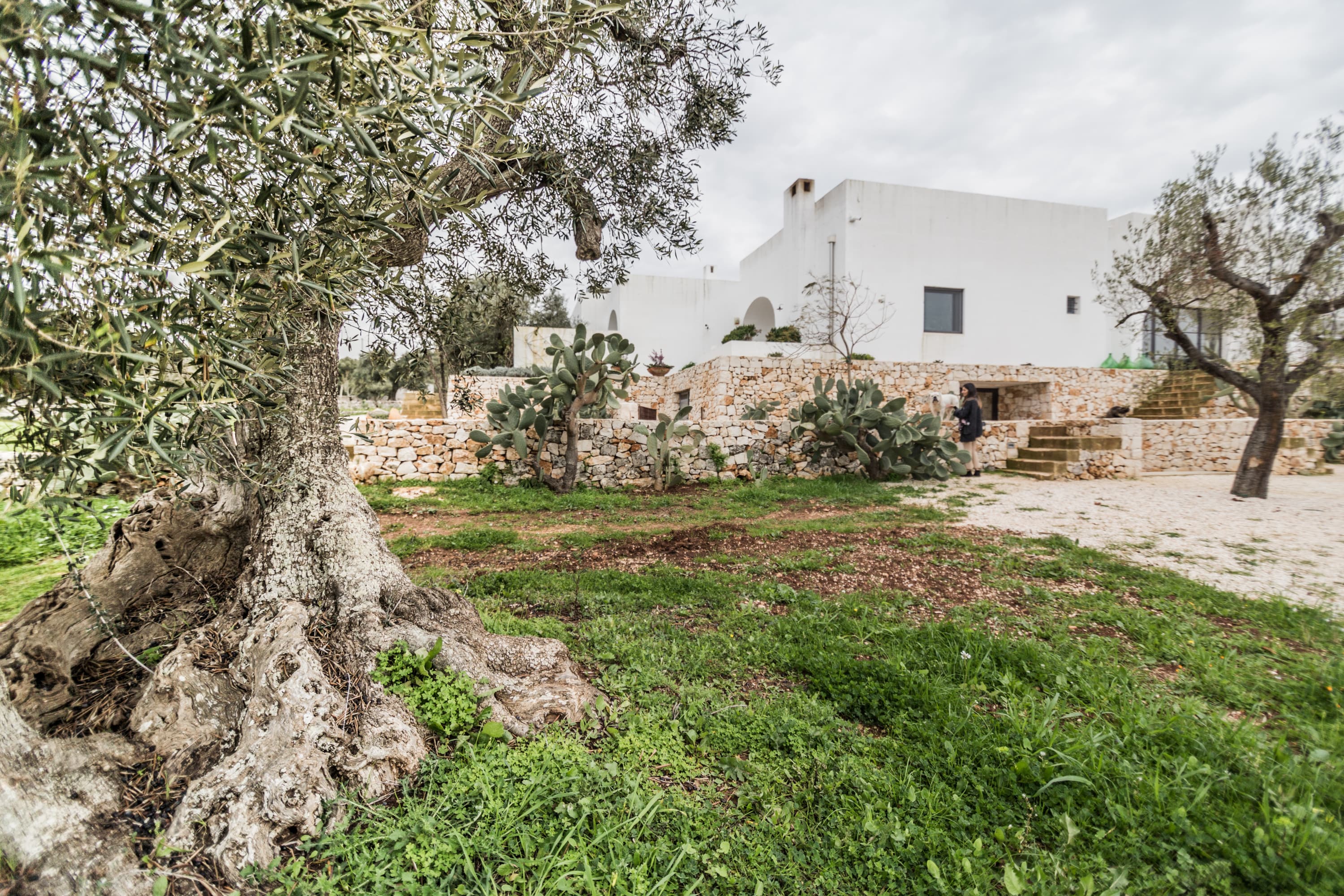 15andrew-trotter-cedric-dasesson-masseria-moroseta