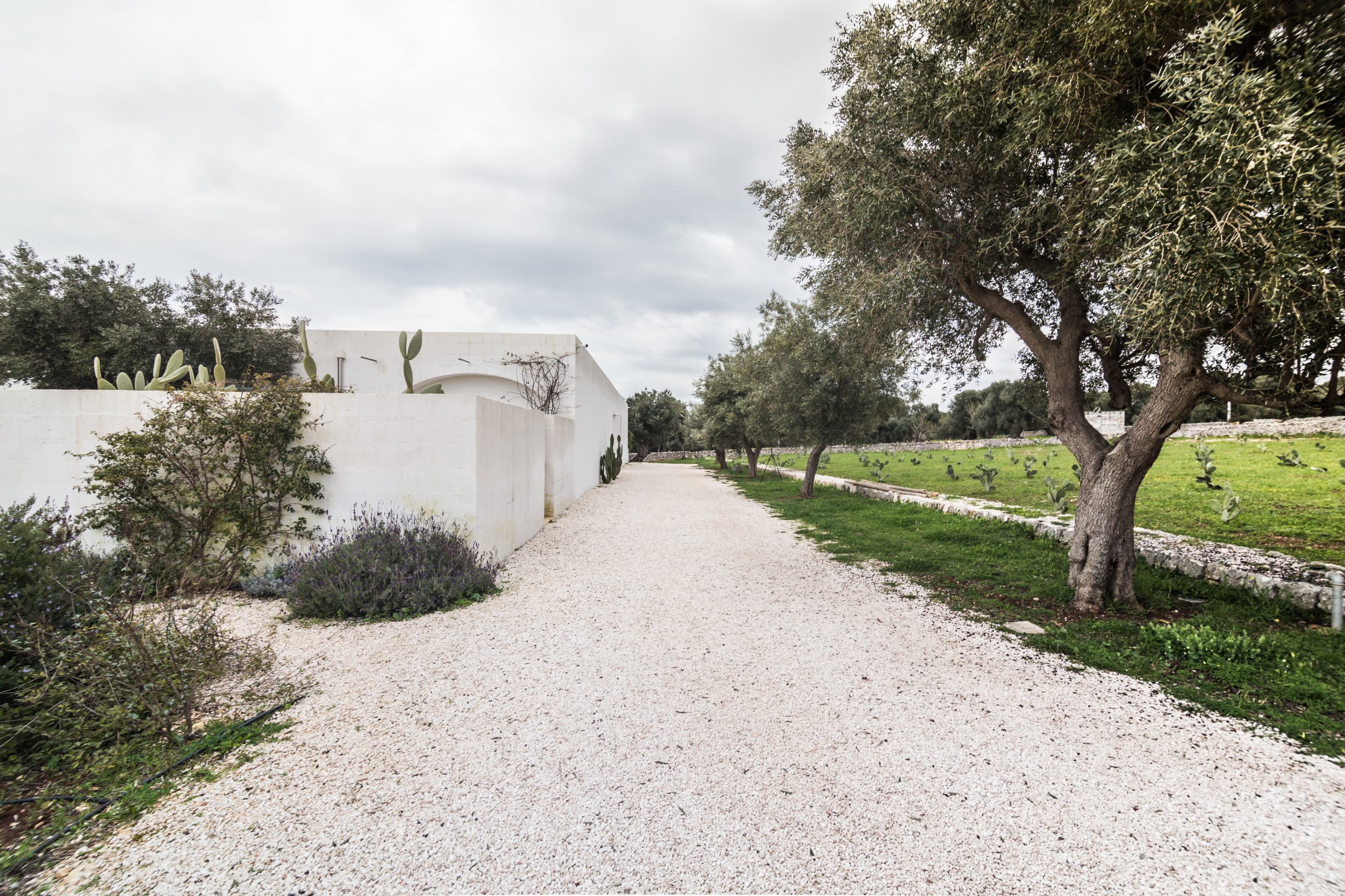 2andrew-trotter-cedric-dasesson-masseria-moroseta