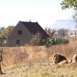 בחופשה הזו אתם תקומו כל בוקר כמו אריות