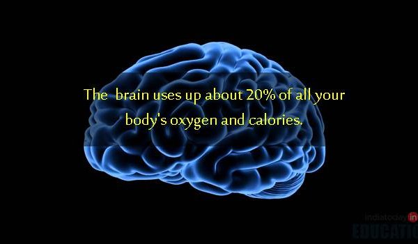 13 עובדות לא צפויות, שמסתבר שהן נכונות