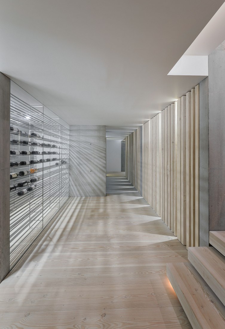 metalocus_guedes_cruz_the_ward_house_51